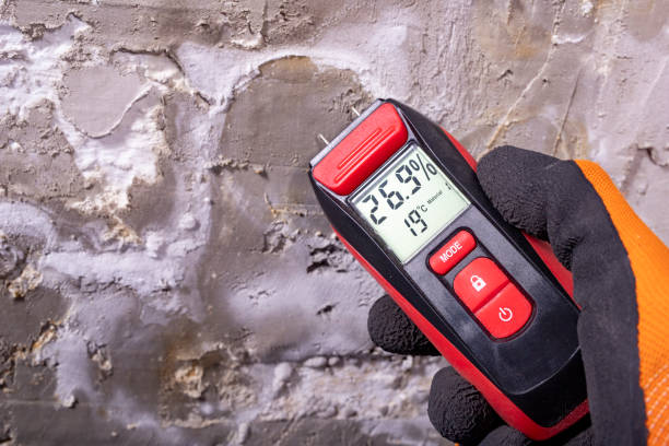 Best Mold Remediation  in Lodi, WI